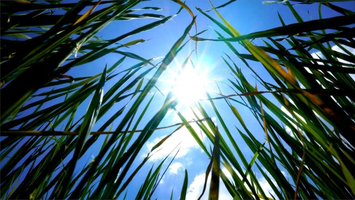 Meteo, ottobre da record per il caldo. La svolta autunnale ancora non arriva