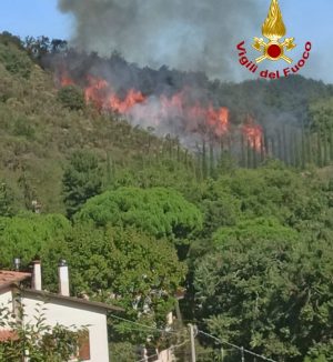 Incendio di vegetazione nel comune di Montepulciano