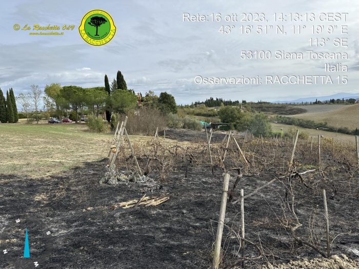 Incendi in località Ferratore e a Monsindoli, a fuoco vegetazione, una vigna e campi incolti