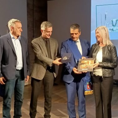 premio fedeltà lavoro 29