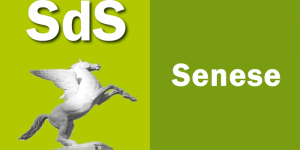 Comitato di partecipazione SdS senese: eletti i nuovi vertici