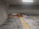 Occupazione parcheggi Duomo, Movimento Civico Senese plaude a sindaco e giunta