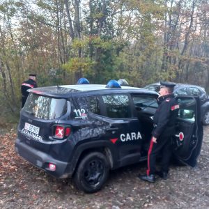 Chiusdino, i Carabinieri smantellano un bivacco degli spacciatori nei boschi