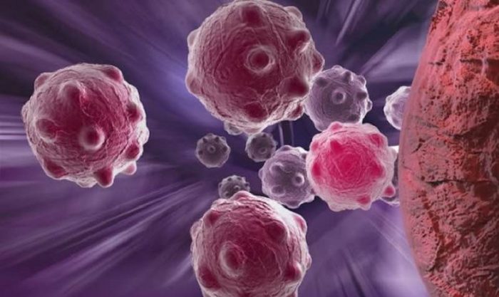 17 novembre Giornata mondiale per l’eliminazione del carcinoma alla cervice uterina