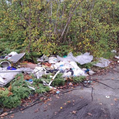 discarica massetana 2