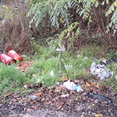 discarica massetana 4