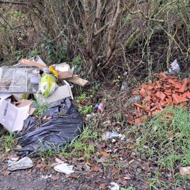 discarica massetana 5