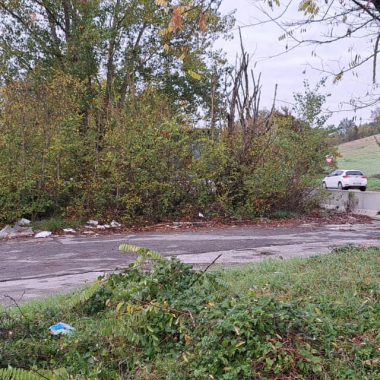 discarica massetana 6