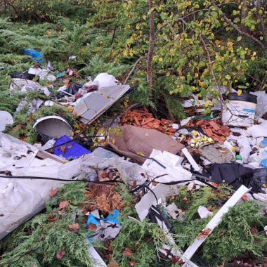 discarica massetana 7