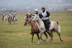 Equitazione: gara internazionale di Endurance per amazzoni e cavalieri senesi