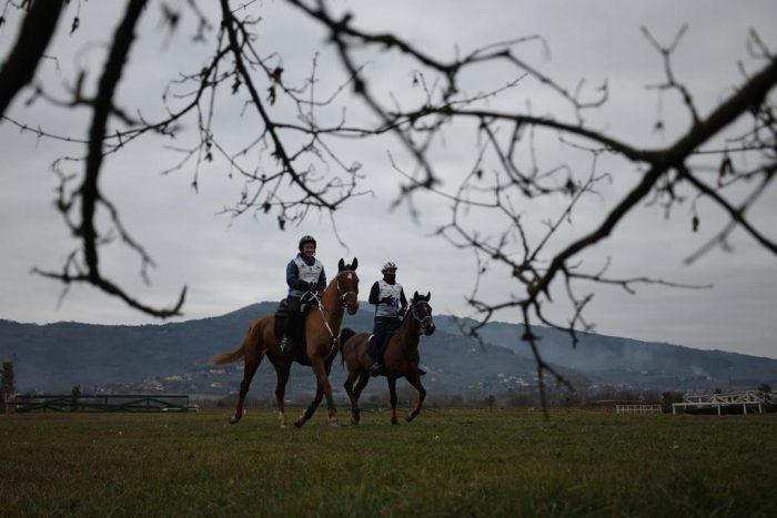 Equitazione: ad Arezzo la finale di Endurance Festival Terre Toscane