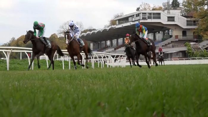 Consulta dell&rsquo;Ippica, gli allevatori senesi non ci sono