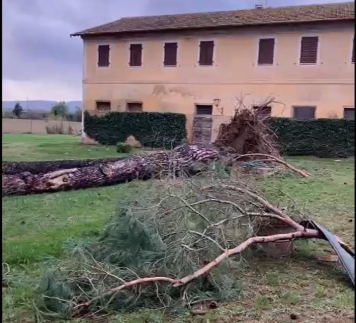 Maltempo: alcuni capannoni scoperchiati e alberi sradicati dal vento ad Abbadia di Montepulciano