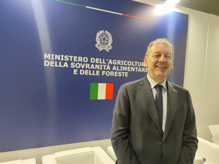 Palio: stinchiere e ferrature adeguate alla pista, le novit&agrave; della nuova legge