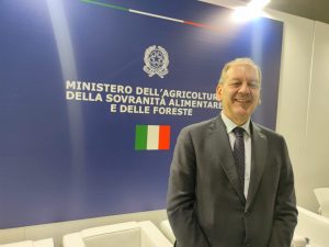 Palio: stinchiere e ferrature adeguate alla pista, le novit&agrave; della nuova legge