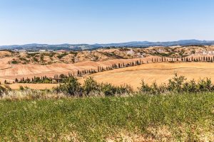 Collegium Vocale Crete Senesi, dal 27 luglio al 3 agosto l'edizione 2024