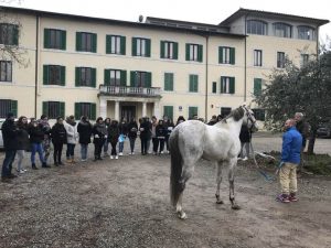 "Educazione, cura e gestione a terra del cavallo", riparte il progetto dell'Istituto Ricasoli di Siena