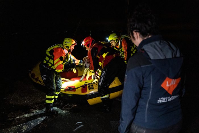 Soccorso animali in situazioni emergenziali, protocollo d'intesa tra Vigili del Fuoco e LAV