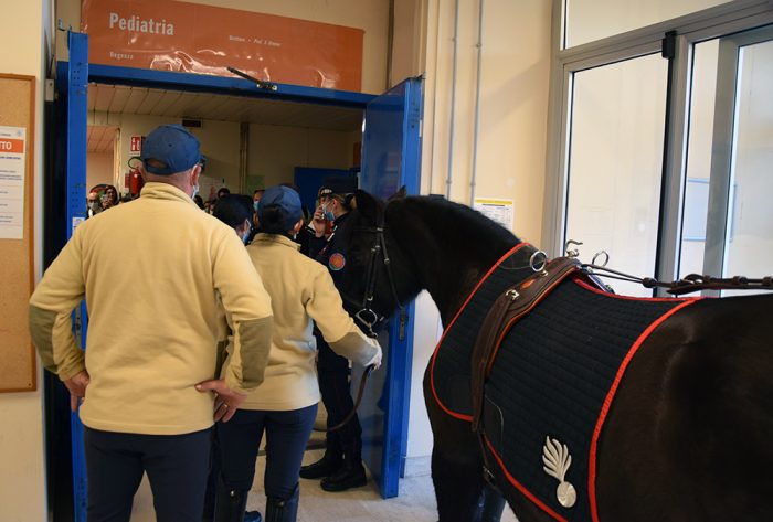 I Carabinieri Biodiversità di Siena regalano un cavallo ad una bambina malata