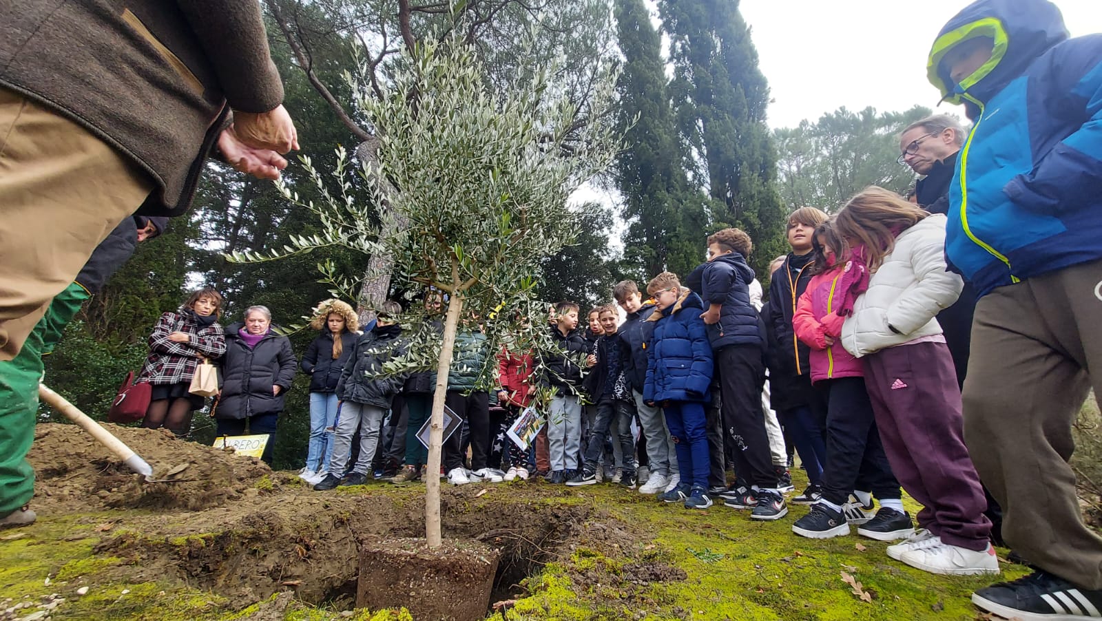 L'olivo della legalità piantato a Suvignano, luogo simbolo della lotta contro le mafie