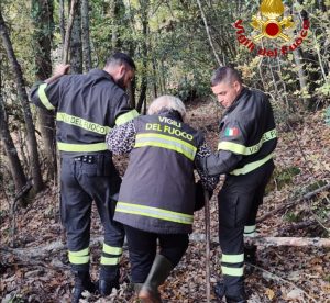 Si perde nel bosco mentre cerca funghi a Monteriggioni, salvata dai Vigili del Fuoco