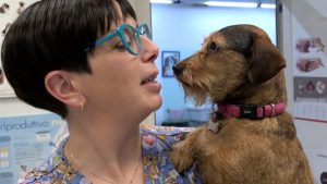 Botti e petardi, i consigli del veterinario per i vostri animali domestici