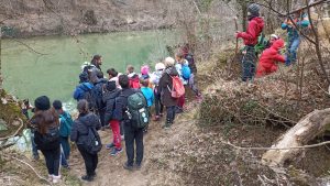 Sovicille: torna "A scuola di Foresta!" escursioni narrate gratuite per bambini, ragazzi e famiglie