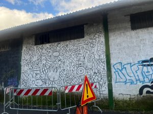 Via Passaggio di Doccino, partono sgombero e bonifica. Verso la rinascita dell’area comunale