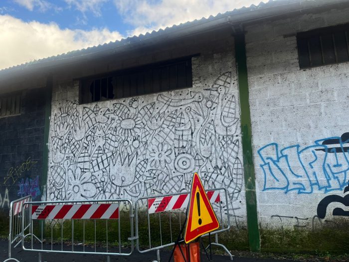 Via Passaggio di Doccino, partono sgombero e bonifica. Verso la rinascita dell&rsquo;area comunale