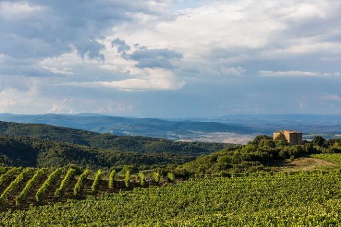 Brunello di Montalcino tra investitori stranieri e identit&agrave; locale, Franceschelli: "Mantenere legame con il territorio al di l&agrave; della propriet&agrave;"