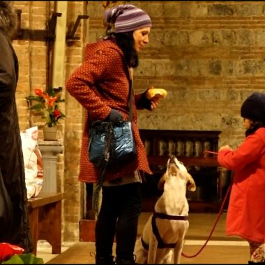 sant’antonio abate benedizione 2024 3