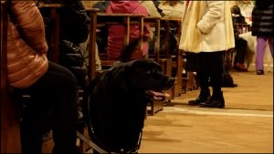 Sant’Antonio Abate, la festa del patrono degli animali - Le foto della benedizione
