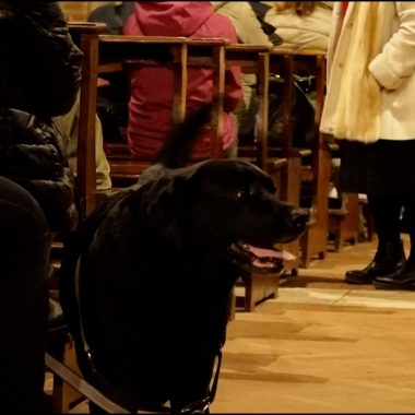 sant’antonio abate benedizione 2024