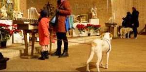 Sant&rsquo;Antonio Abate, il rito della benedizione si allarga dalle campagne alle citt&agrave;