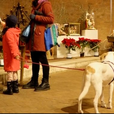 sant’antonio abate benedizione 2024 6