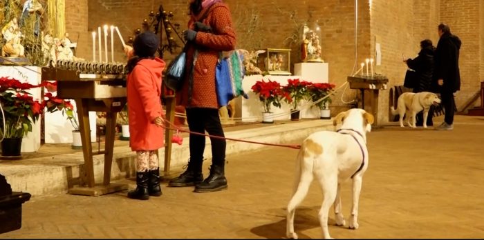 Sant&rsquo;Antonio Abate, il rito della benedizione si allarga dalle campagne alle citt&agrave;