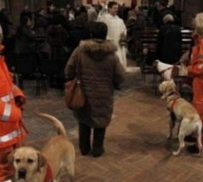 Sant&rsquo;Antonio Abate, nella cripta di San Domenico la benedizione degli animali