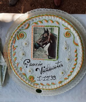 Contrade: Piccoli Selvaioli vanno a trovare Violenta da Clodia