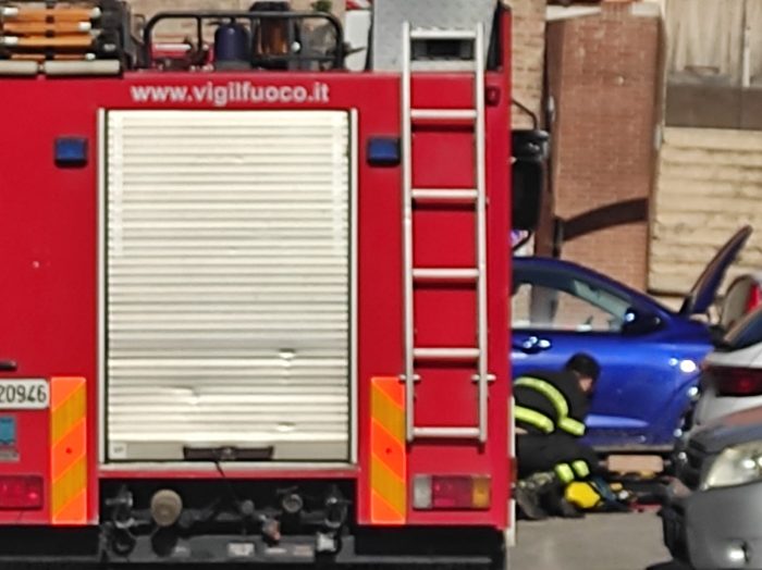 Siena, gattino muore incastrato nel motore di un'auto: vano l'intervento dei vigili del fuoco