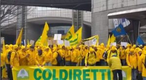 Anche Coldiretti Siena in piazza a Bruxelles. Sardone: "Questa Europa uccide l'agricoltura"