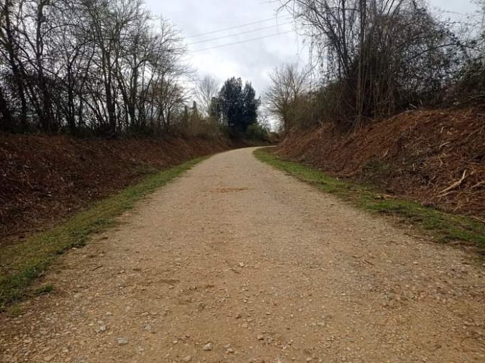 Ciclabile Poggibonsi-Colle Val d’Elsa, avviato l’intervento di manutenzione