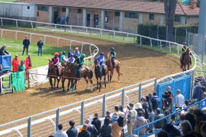 Domenica le corse a Monteroni d'Arbia, ecco il programma