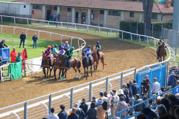 Domenica le corse a Monteroni d'Arbia, ecco il programma
