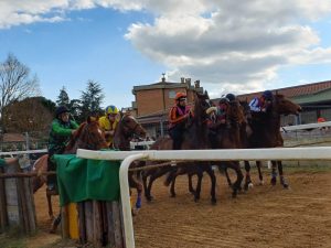 Corse a pelo a Monteroni d'Arbia 23 marzo 2024, la gallery