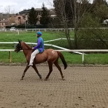 pian delle fornaci 16 marzo 7