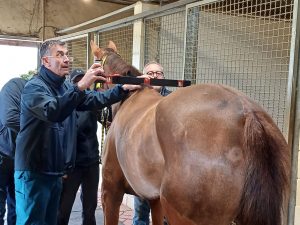 Al via le previsite per l'ammissione all'Albo alla clinica del Ceppo - La gallery