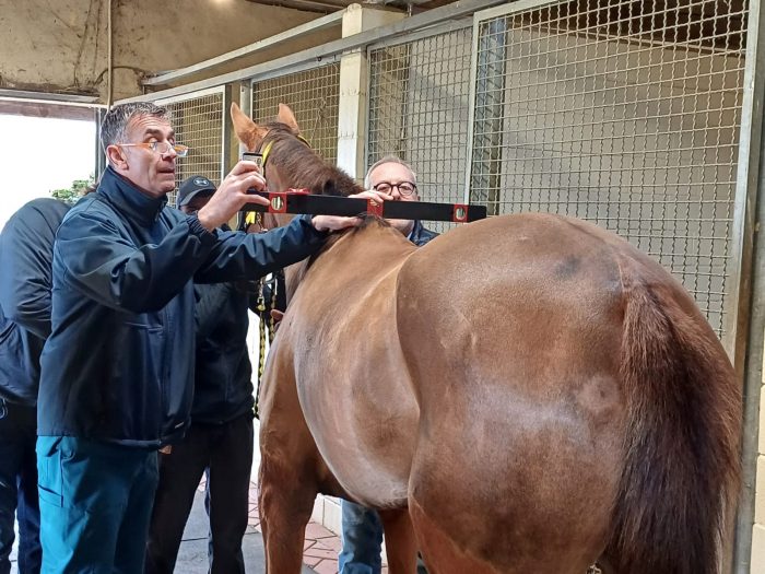 Al via le previsite per l'ammissione all'Albo alla clinica del Ceppo - La gallery