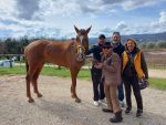 Palio: Donna Rosa, il sogno realizzato di Rompicollo