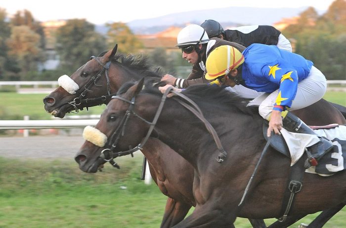 Galoppo: sei giornate per anglo arabi al Visarno