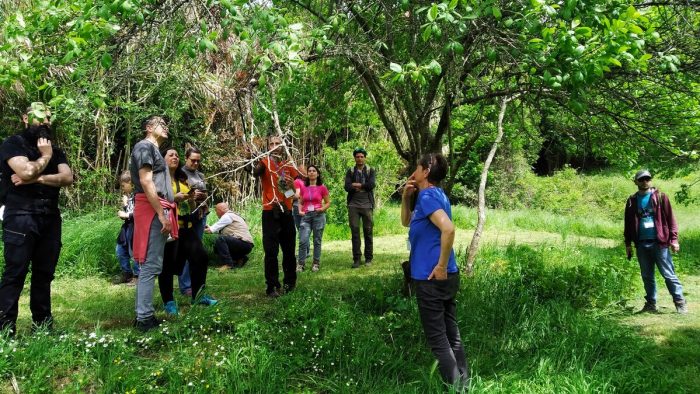 Il terzo BioBlitz Siena si svolge il 27 e il 28 aprile nell&rsquo;area urbana della Valle di Follonica